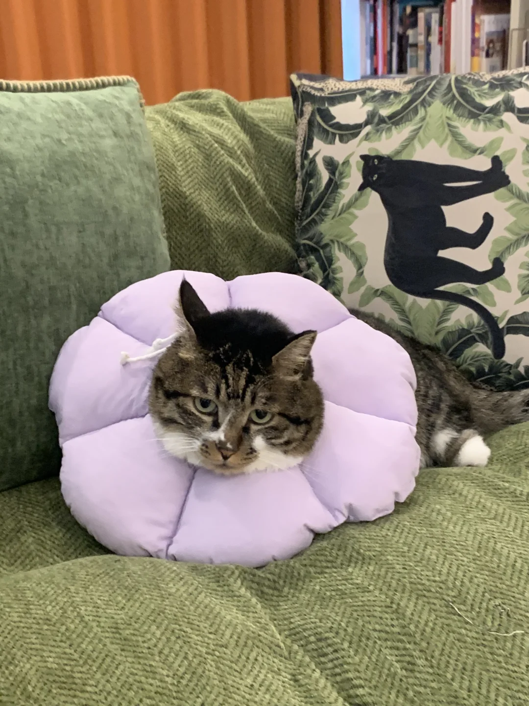 戴个脖套挣扎成斜肩背心了