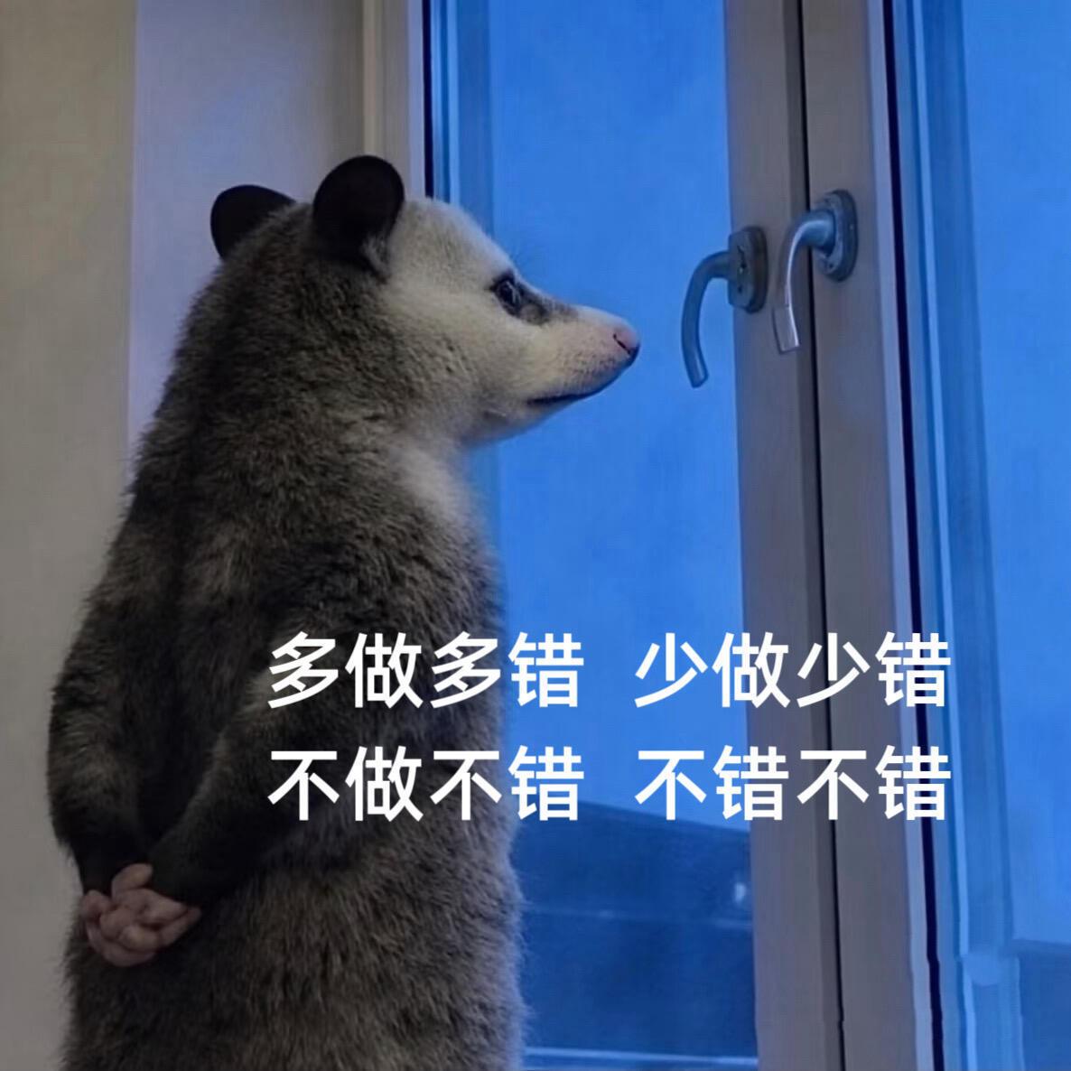 在家已经呆的有点烦了，我爸每天从早到晚都在刷AI做出来的短剧，语速快得像火箭，没