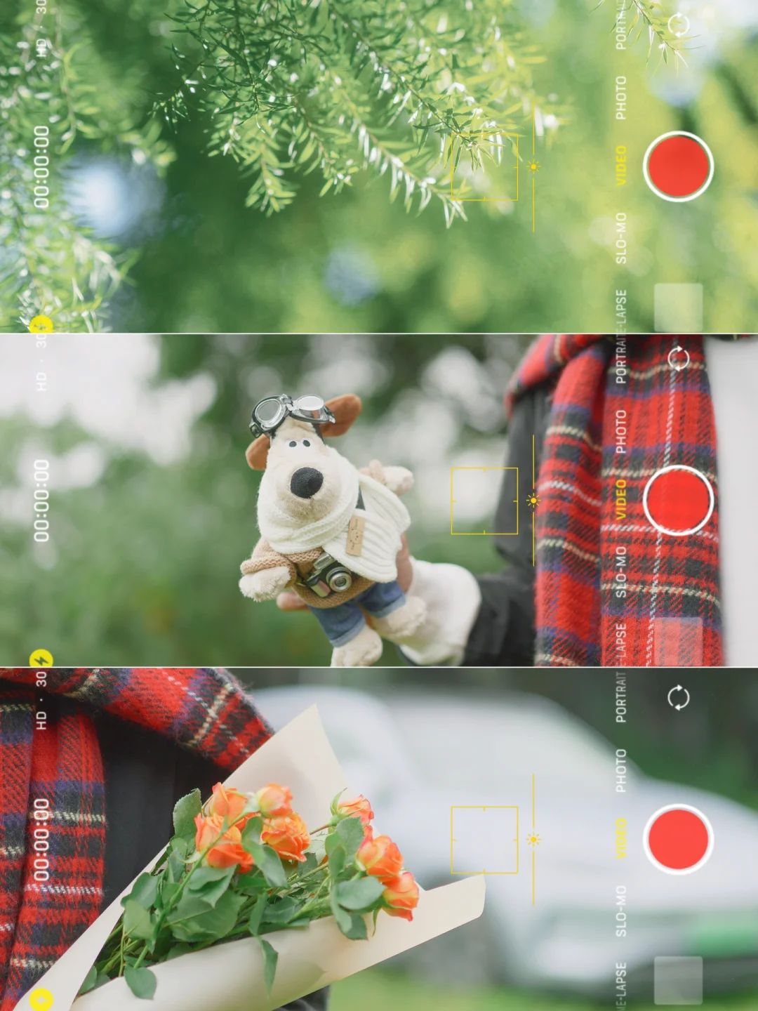 🍃新年森系胶片电影感滤镜✨拯救废片🎞️