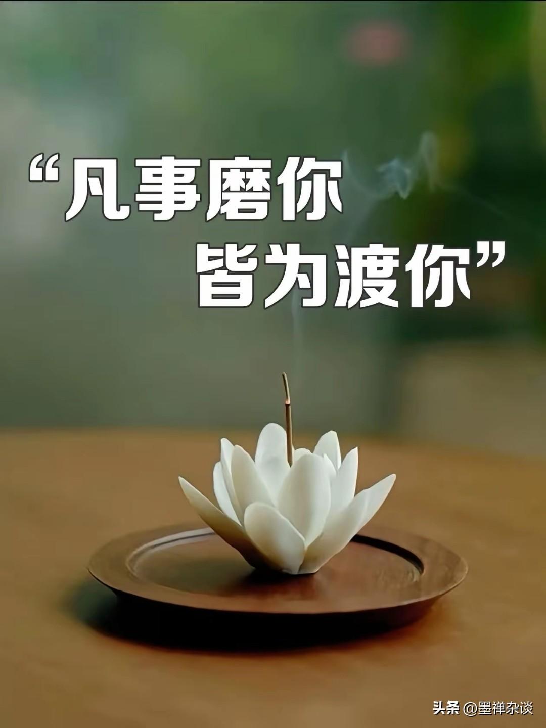 一位连续创业者说：

当你能靠专业和信用，把日收入稳定在几千元，甚至偶尔更高，你