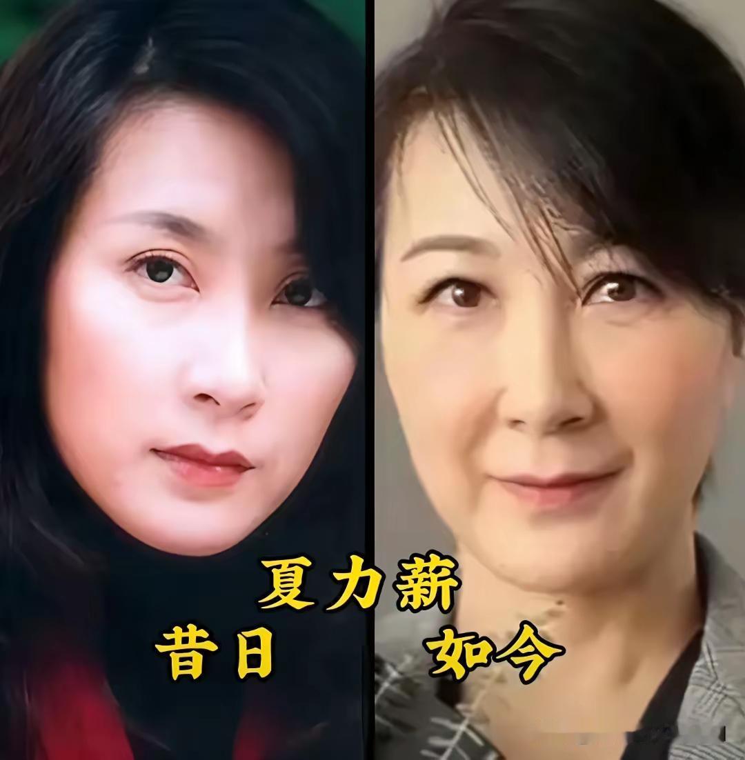 好漂亮的吴玉芳 ，年轻时候的吴玉芳气质真的是太好了，看起来温柔又多情 ，有一种成