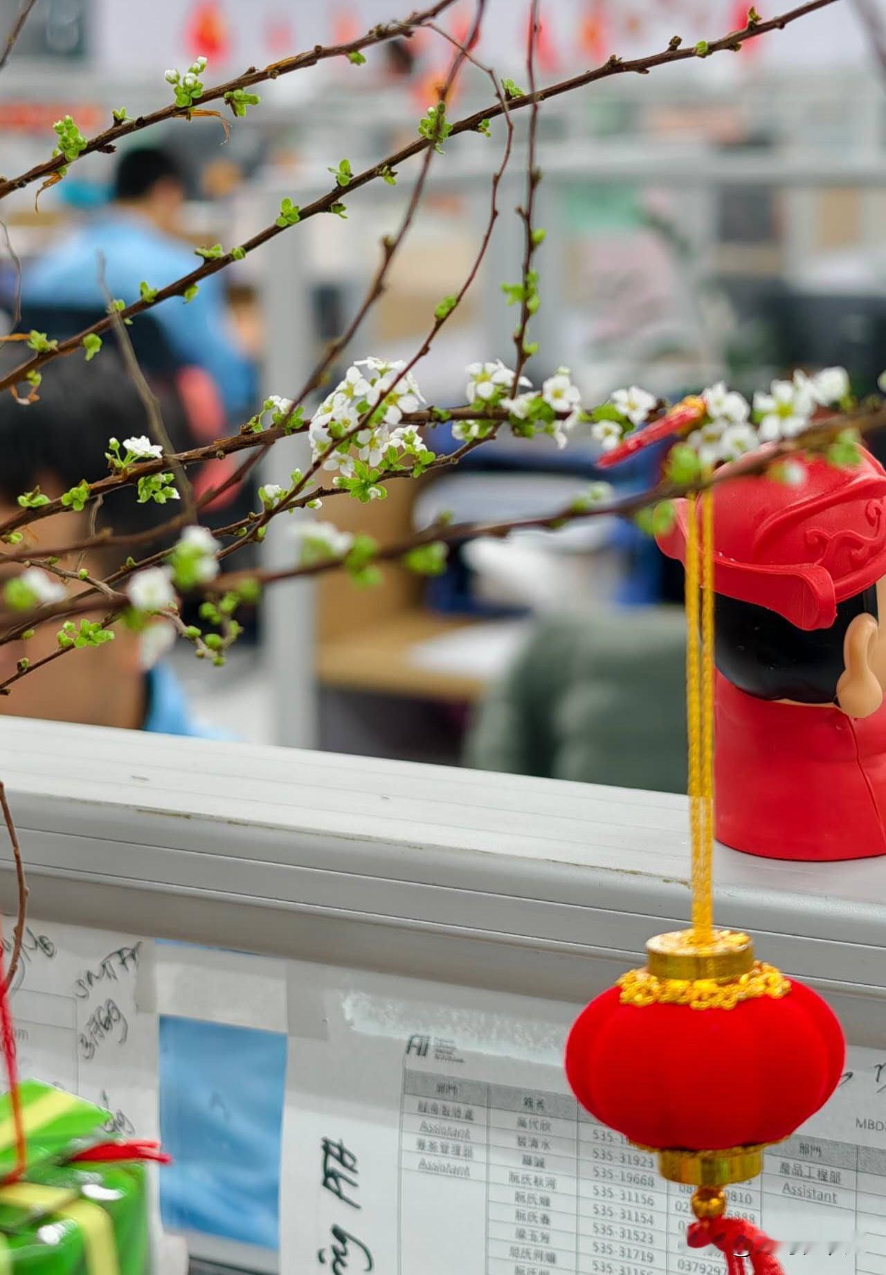 女友送的雪梅
于办公室竟开花了
每日上班瞧见那雪梅
恰似见到女友一般
刹那间心情