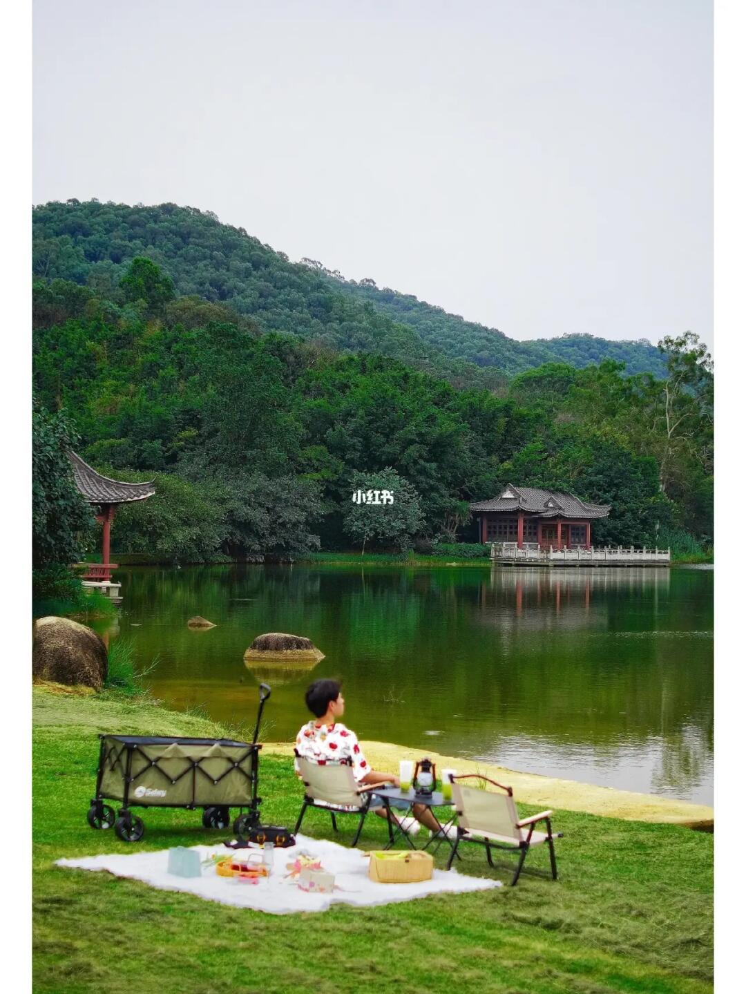 这是美丽的东莞后花园🌲！