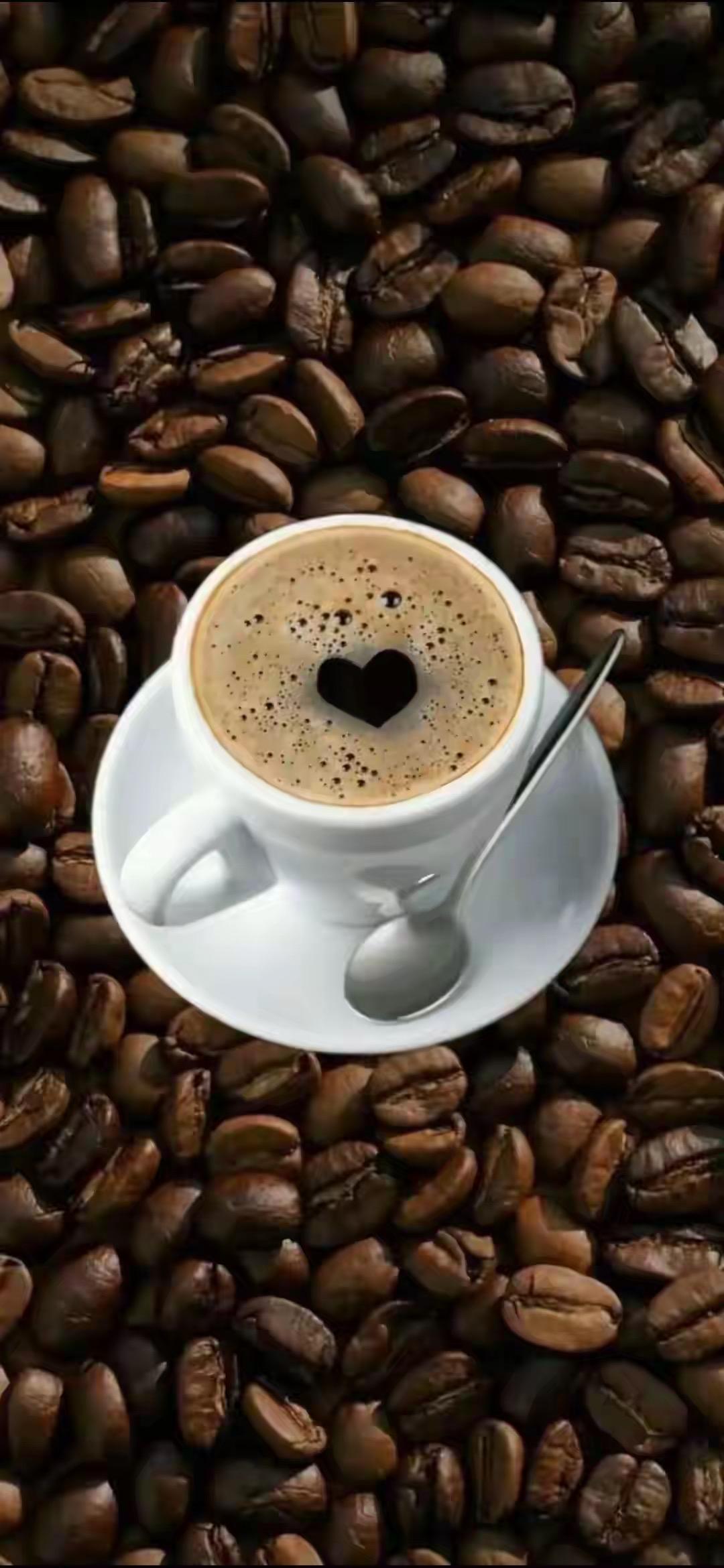 前两天媳妇突然神秘兮兮的跟我说，千万别喝茶叶了，一定要多喝咖啡！

我十分不解，