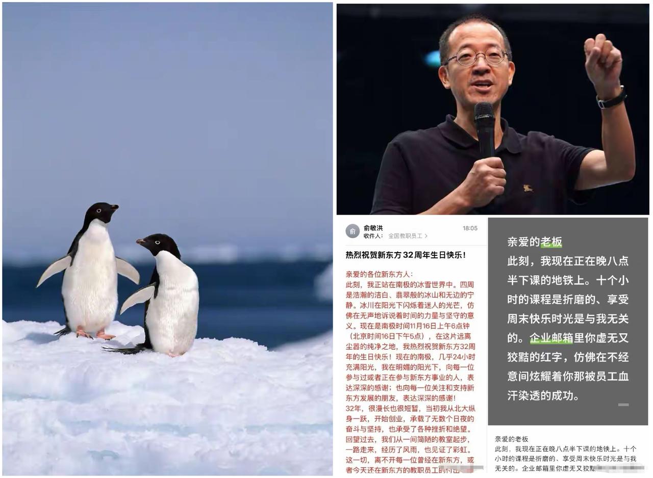 “对不起，老板，你的南极风光我只觉得讽刺！” 新东方员工怒怼俞敏洪全员信：打工人
