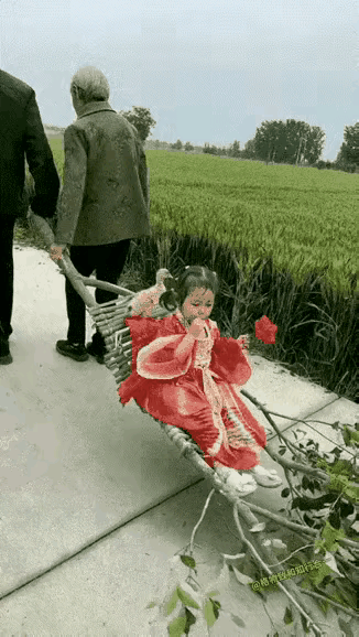 这轿子好啊！还有一只可爱的小宠物，满满的儿时回忆啊……