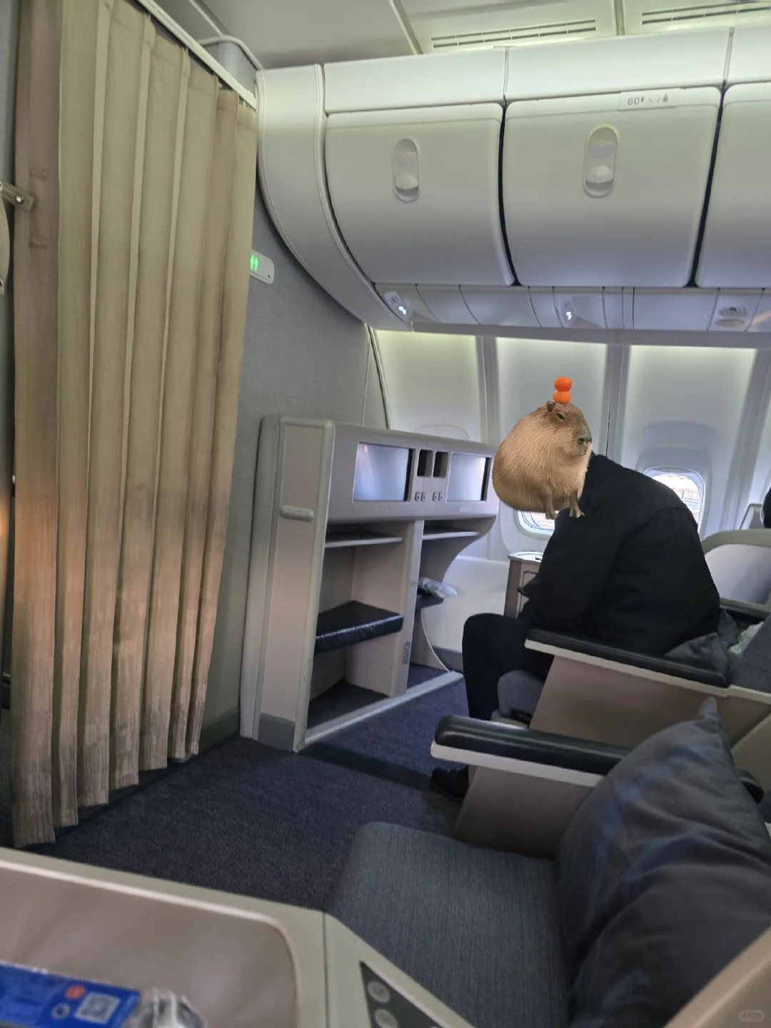 全球航空公司最舒服的职位 公务舱安全员