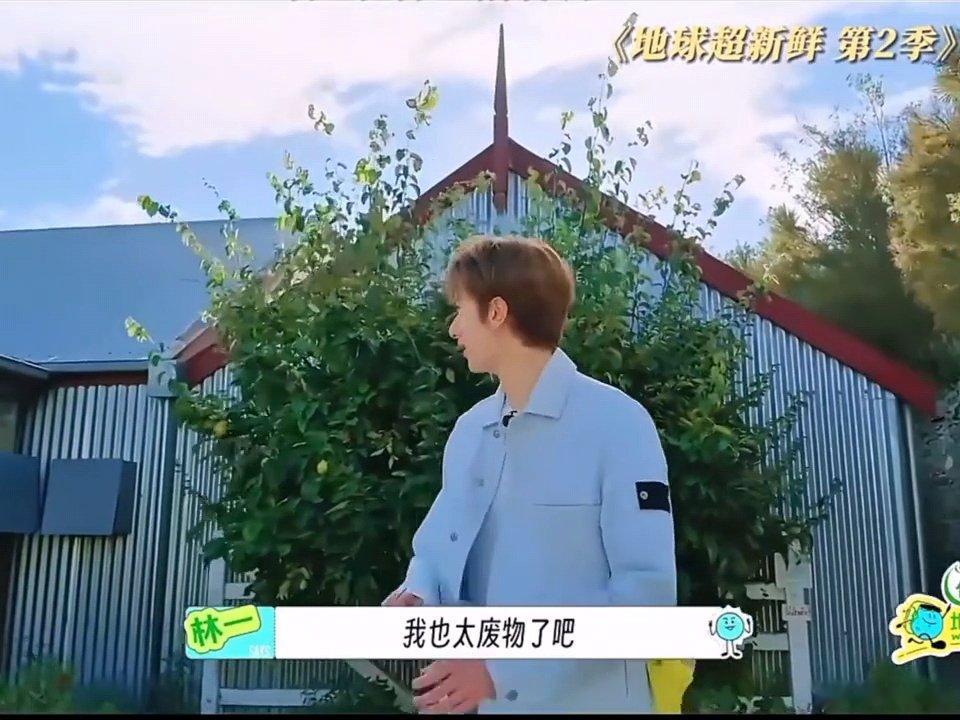 林一气球被草扎爆了当我准备大干一场的时候belike林一哈哈哈哈哈哈哈准备大干一