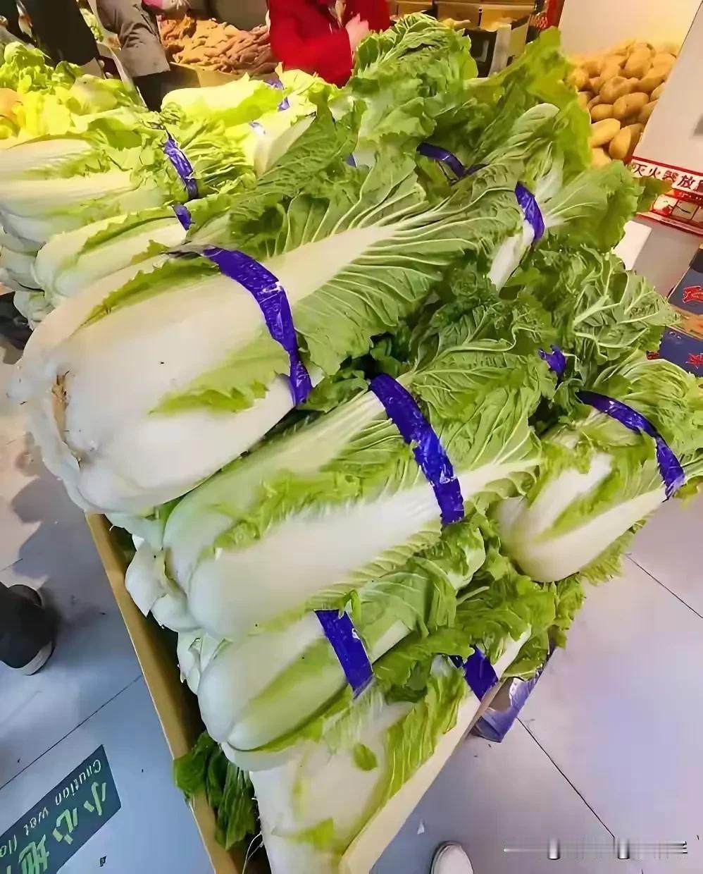 冬日的大白菜，是烟火里的实在。剥去外层老叶，内里嫩白如玉。切丝清炒，撒把虾皮，鲜