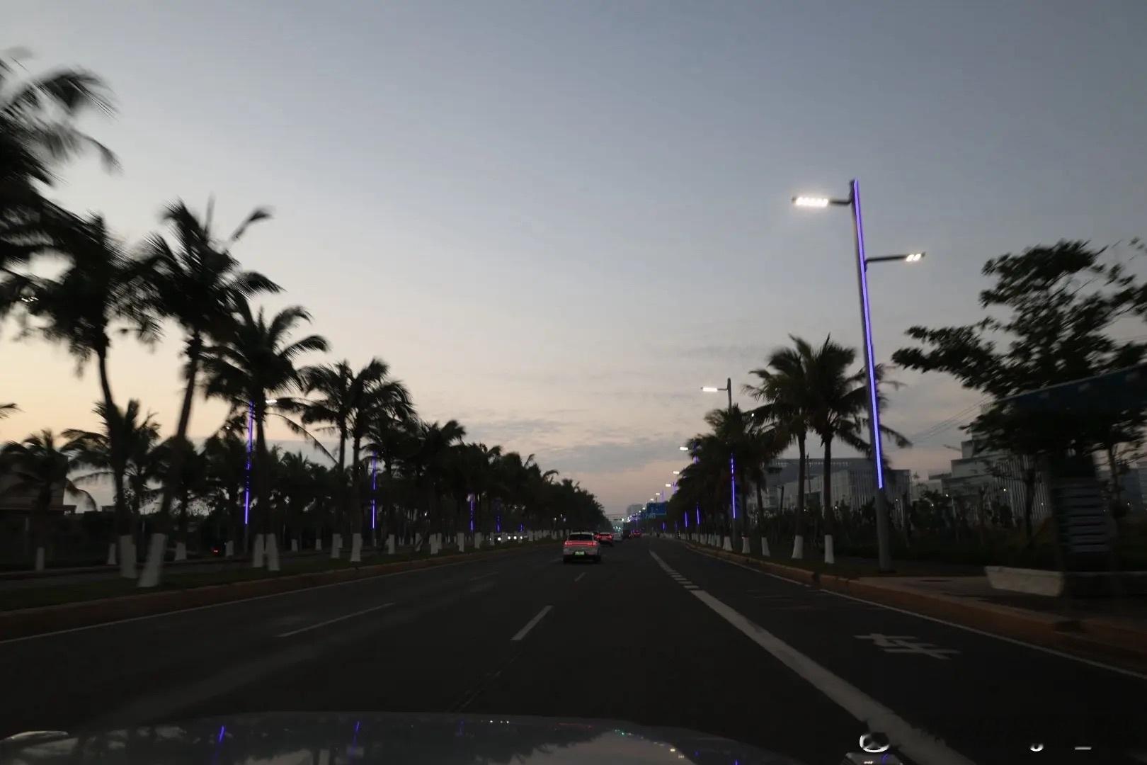 林诗栋更新抖🎵：2026越来越好😁😁😁记录生活海边 椰树 日落🌇评论：