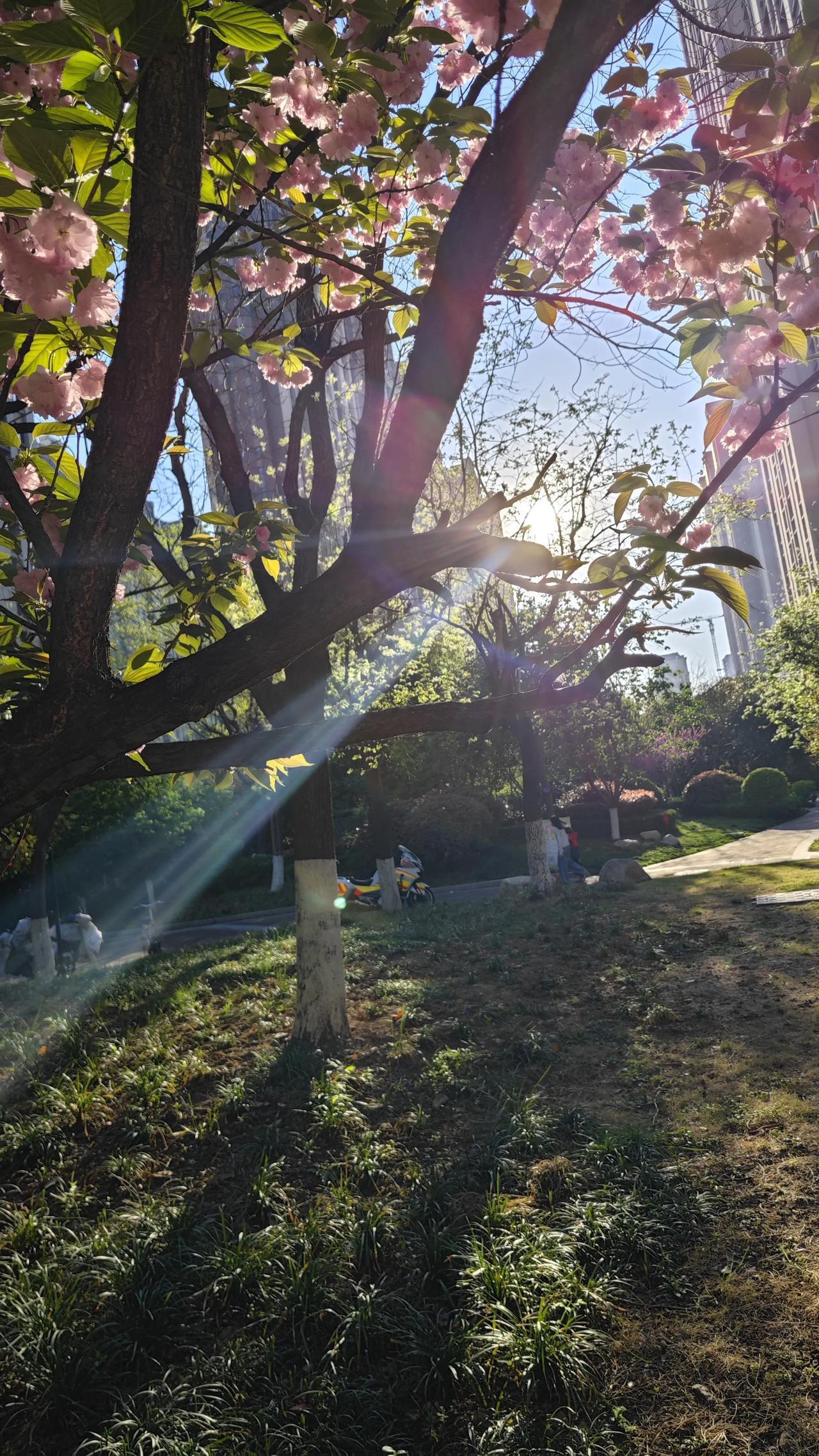 我爷爷活到96岁，走的那天晚上，还喝了半碗粥，吃了一块腐乳，跟平常一样，九点就睡