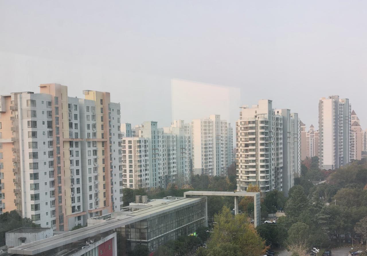 七律.江南冬

冷雨寒江十月天，云沉雾重锁冬年。
黄颜银杏萧萧意，绿影香樟淡淡烟