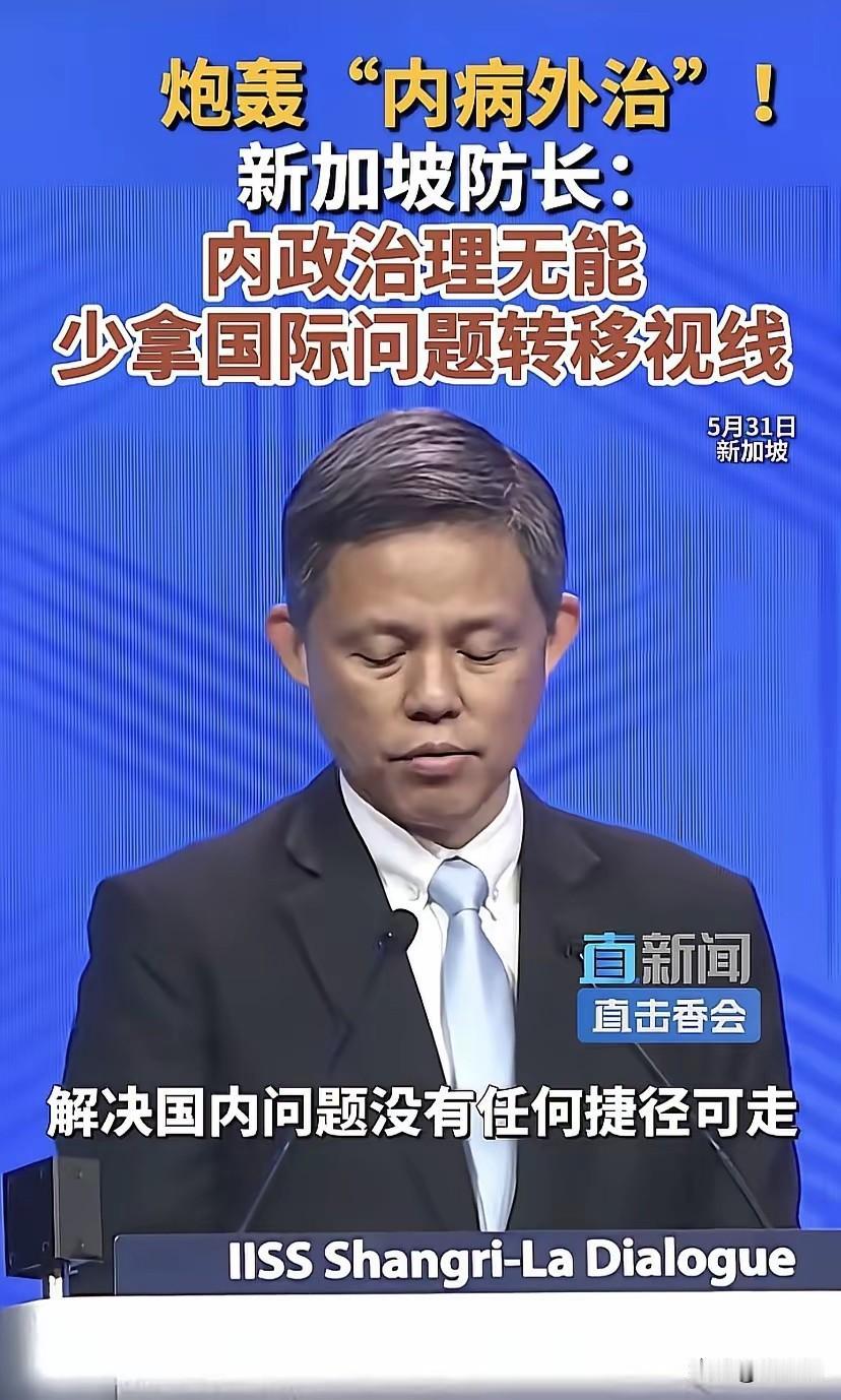 新加坡防长真是语不惊人死不休。这可把新加坡总理说得无地自容了，新加坡防长说，新加