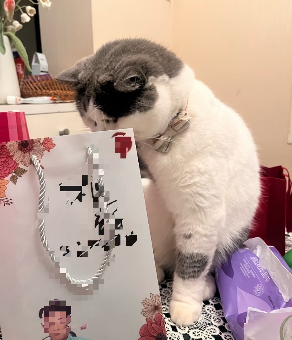萌宠[超话] “让我看看有我的礼物吗？” ​​​
