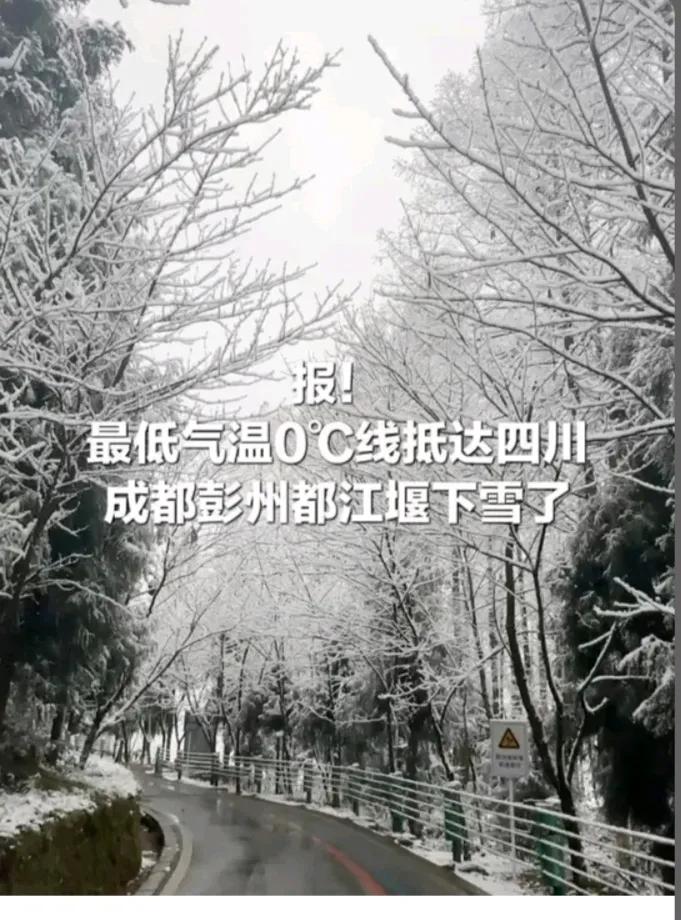 难怪这几天成都天气格外的寒冷，冷空气抵达四川已进速冻模式！
成都主城区气温才是5