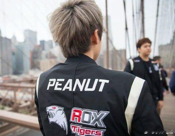 再见小花生 终有一别！2016年Rox Tigers五人组全部告别职业赛场随着今