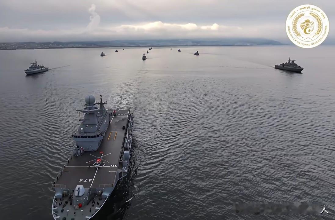 北非的阿尔及利亚海军有一艘9000吨级的两栖攻击舰，意大利造的！
直通甲板，说是