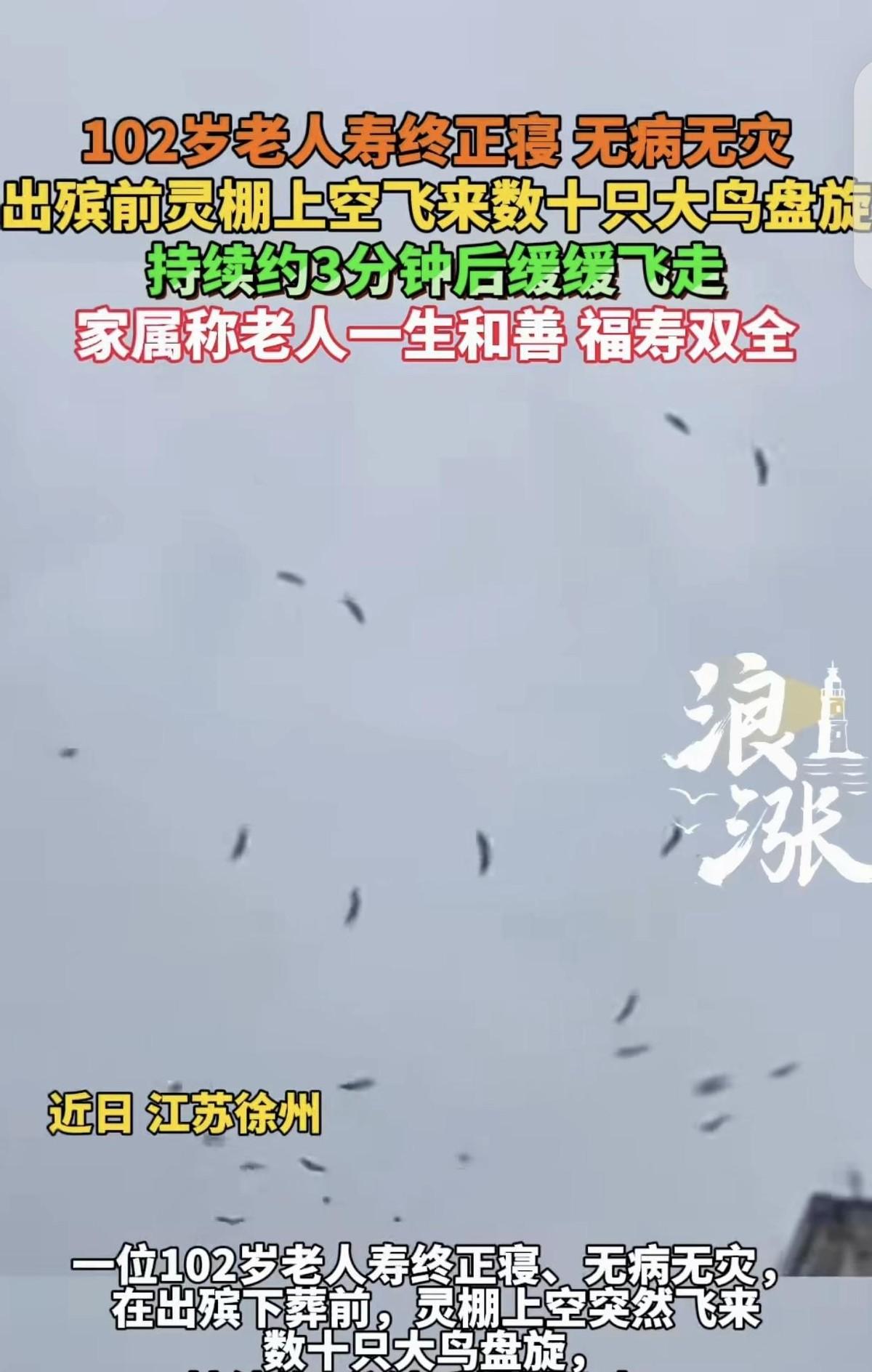 谁能想到，一场原本平静肃穆的农村葬礼，竟引来了数十只苍穹巨鸟的“列队致哀”？就在