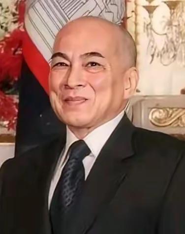 柬埔寨已经达到大势已去的地步了，洪森已经是无法扭转局面了，这也就意味着洪森掌控大