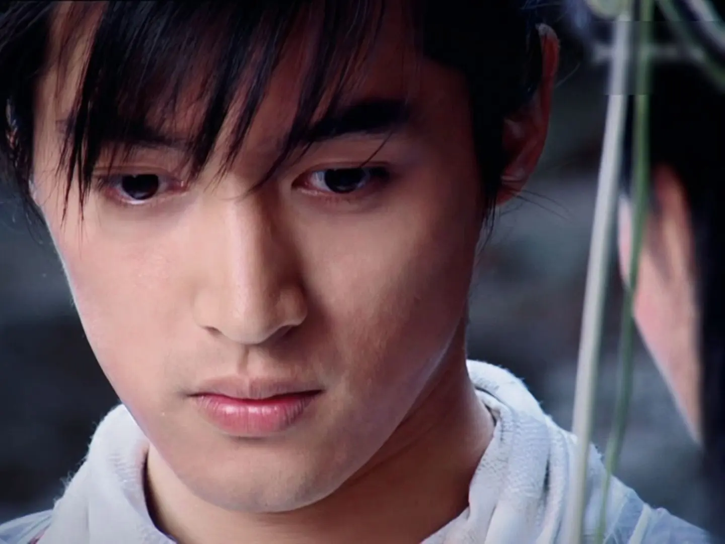 若如初见，为谁而归