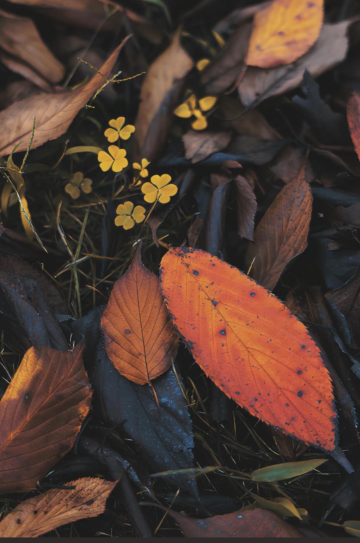 分享一下你随手拍下的照片