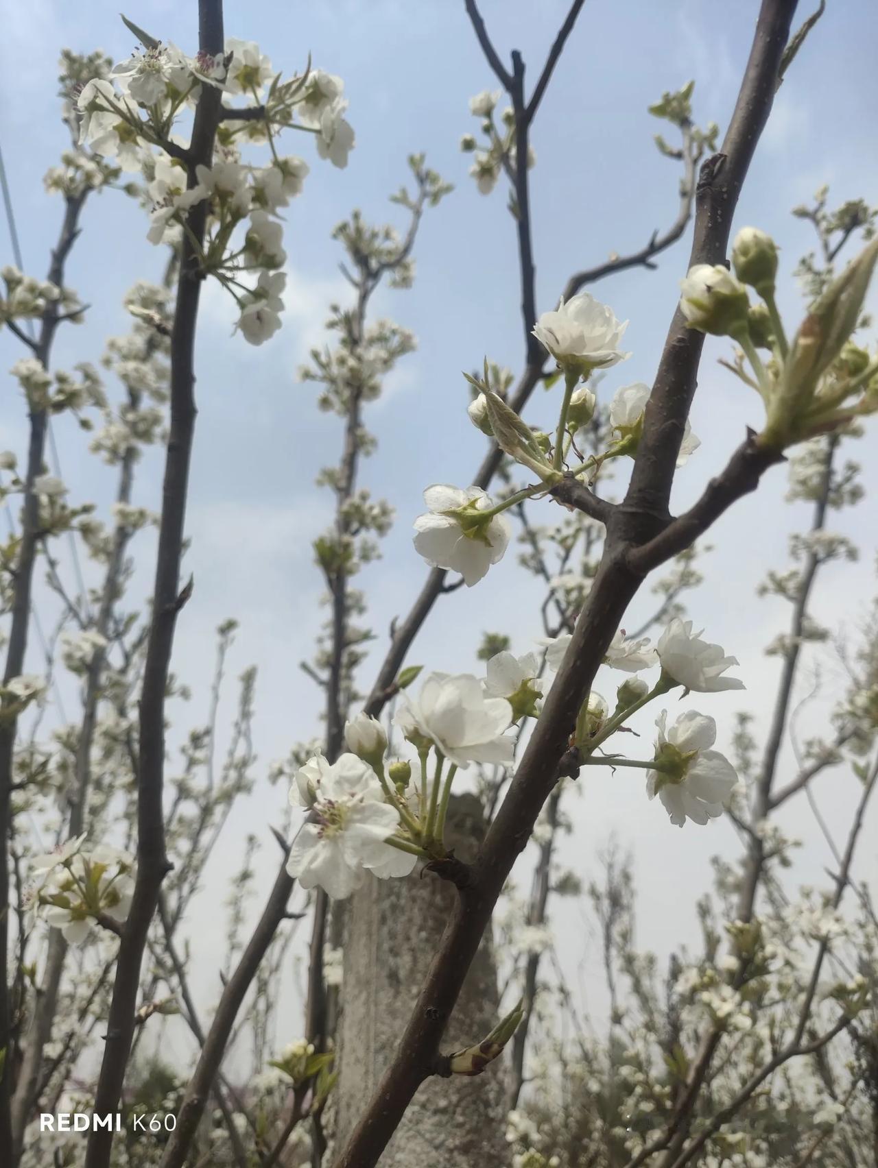 美国对中国发动的贸易战严重违反WTO多边贸易规则。主要体现在以下方面：  
一是