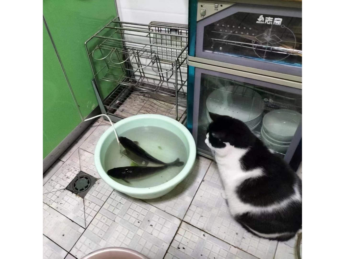 牛牛：我吃清淡点就行