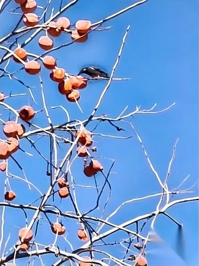 突然发现自己变了？

这些信号居然是变老预警？

最近照镜子惊觉，曾经那个熬夜蹦