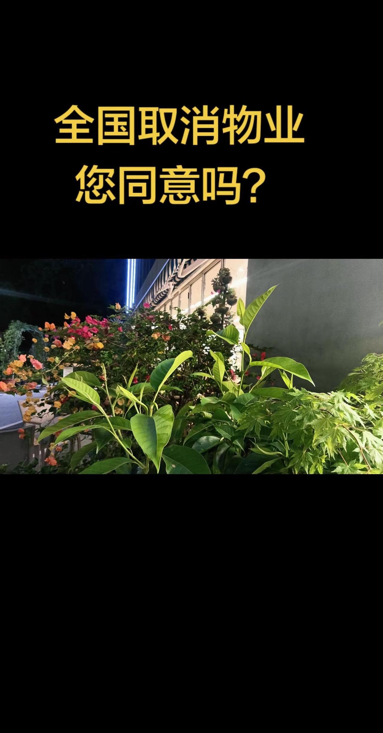 取消物业你支持吗 业主权益 老百姓关心的话题 民生