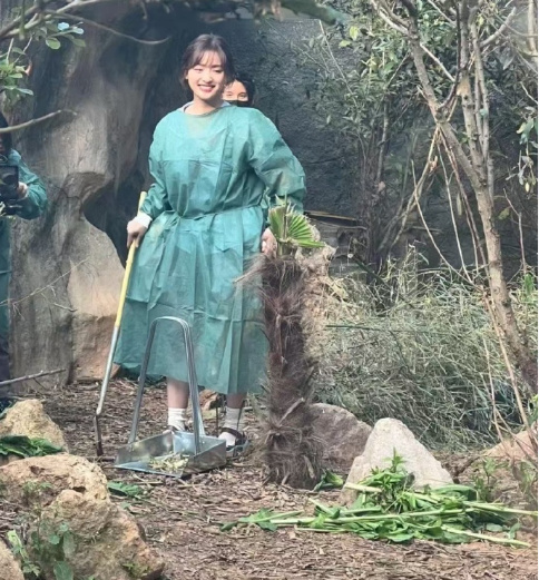 之前没觉得沈月有多好看，直到看到了路人视角下的她 