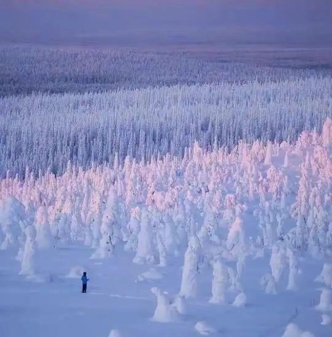 说一句话鼓励自己的话心有繁花，眼有星光，步履所至，皆是坦途。