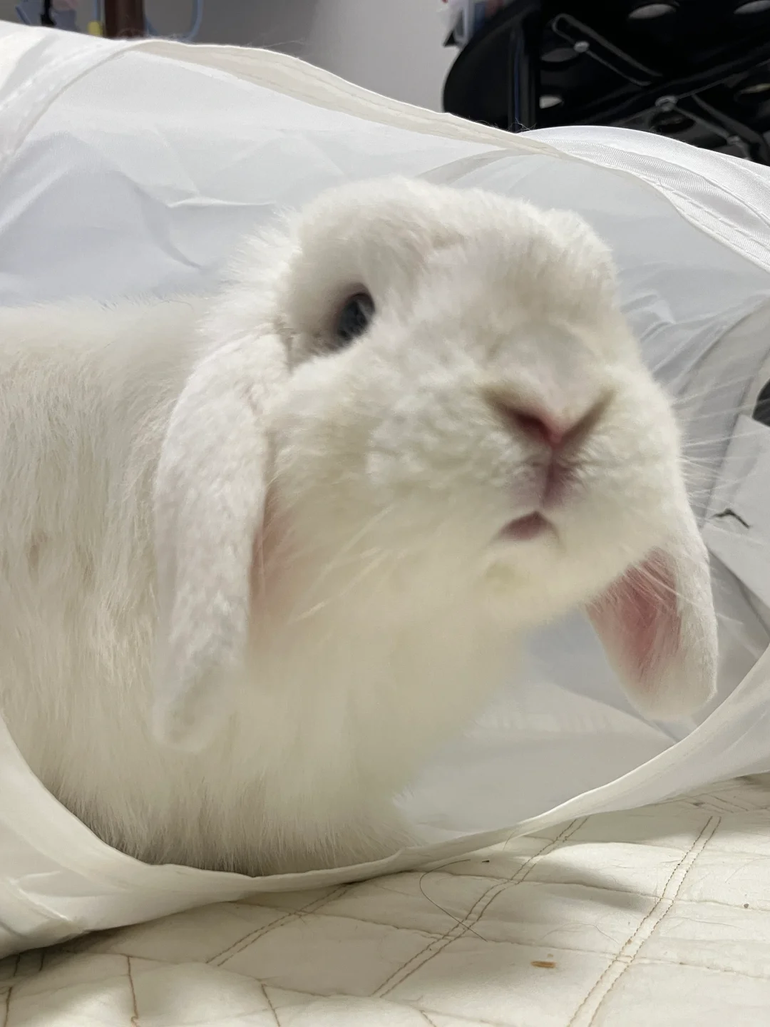 亿点点可爱🤏🏻