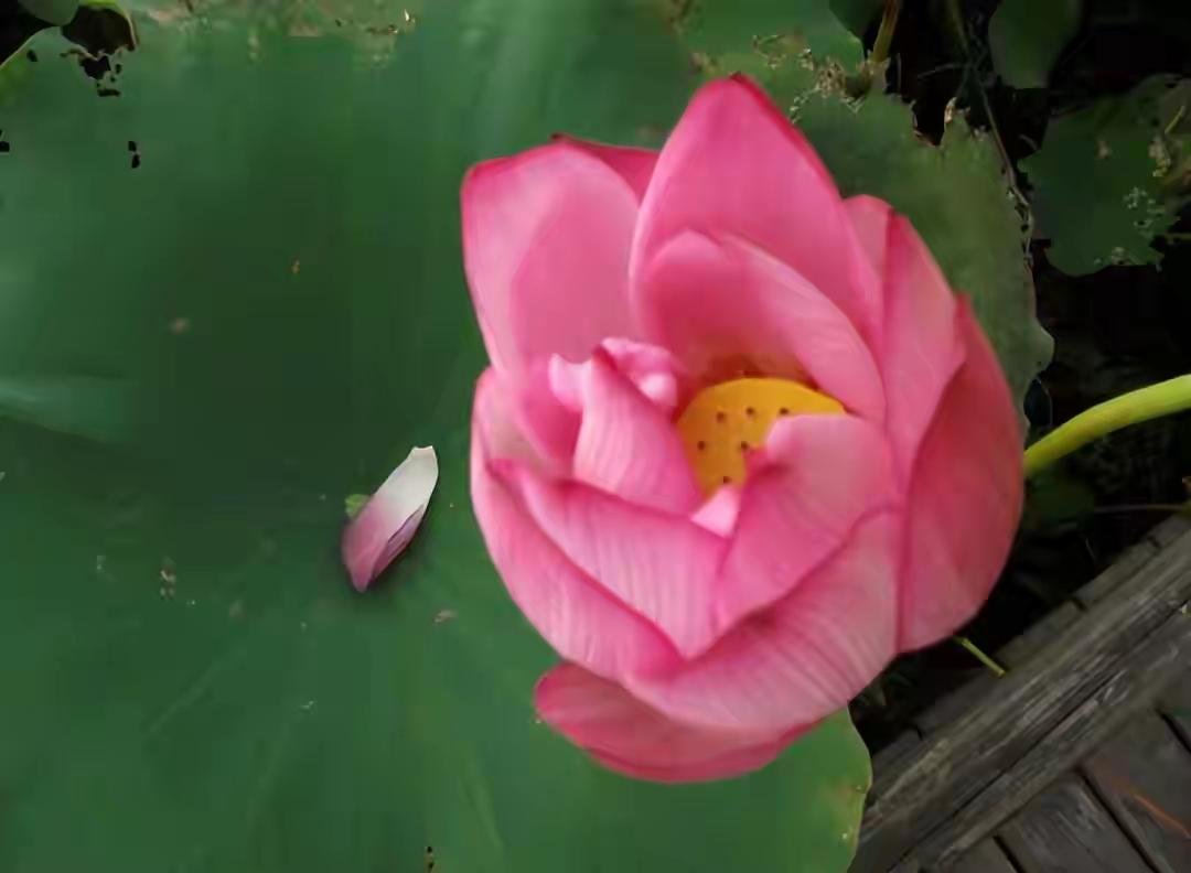 很多贫穷家庭，都有一个共性：每一代都要从0开始摸索

很多贫穷家庭，都有一个共性