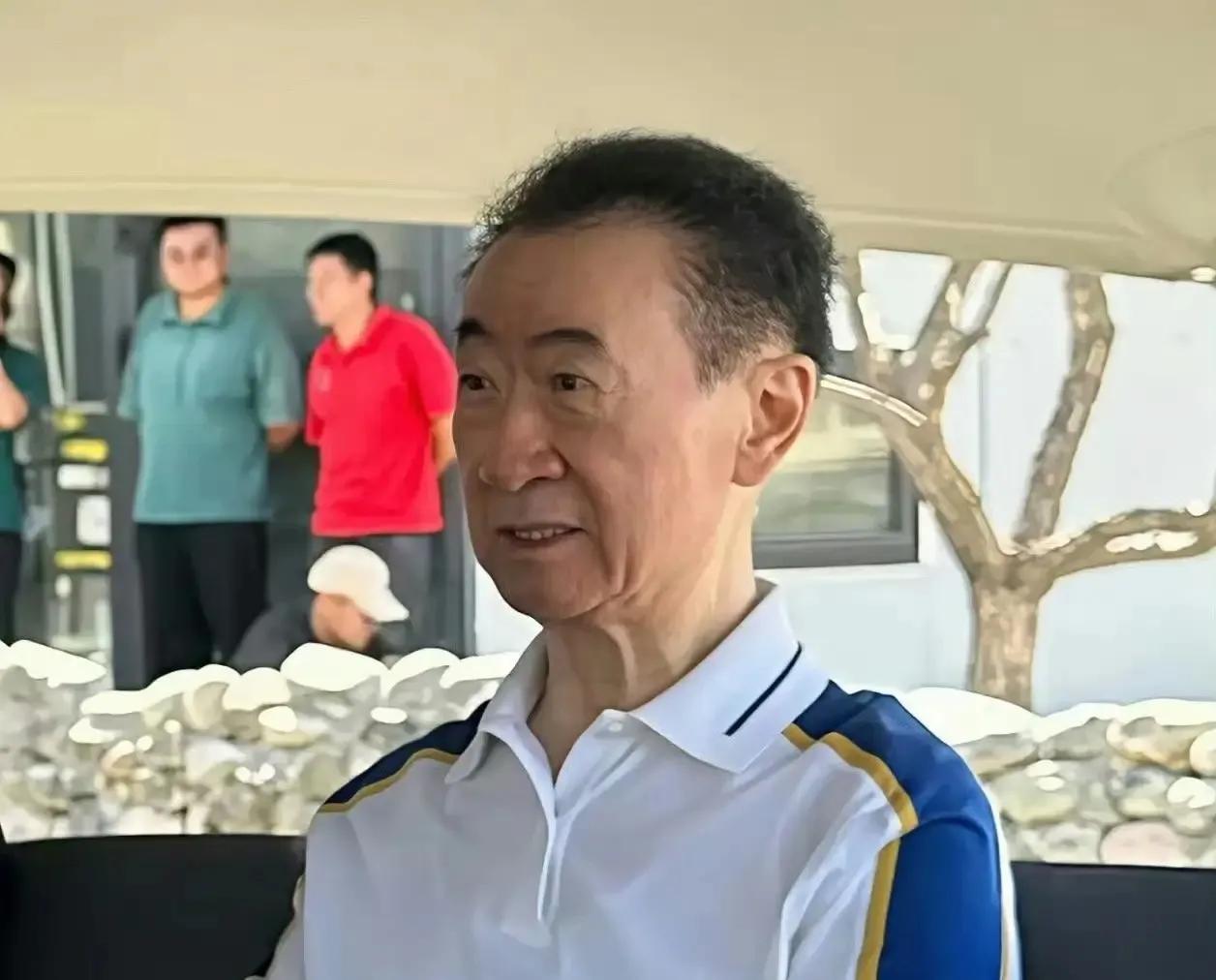 让王健林难过的不是卖掉了85个万达广场，也不是被限高消费。
而是他的儿子王思聪，