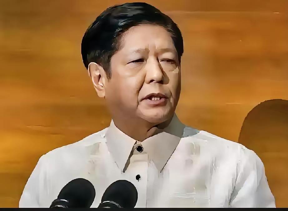 中菲双方近期围绕南海和地区安全议题的表态引发广泛关注。

菲武装部队总参谋长日前