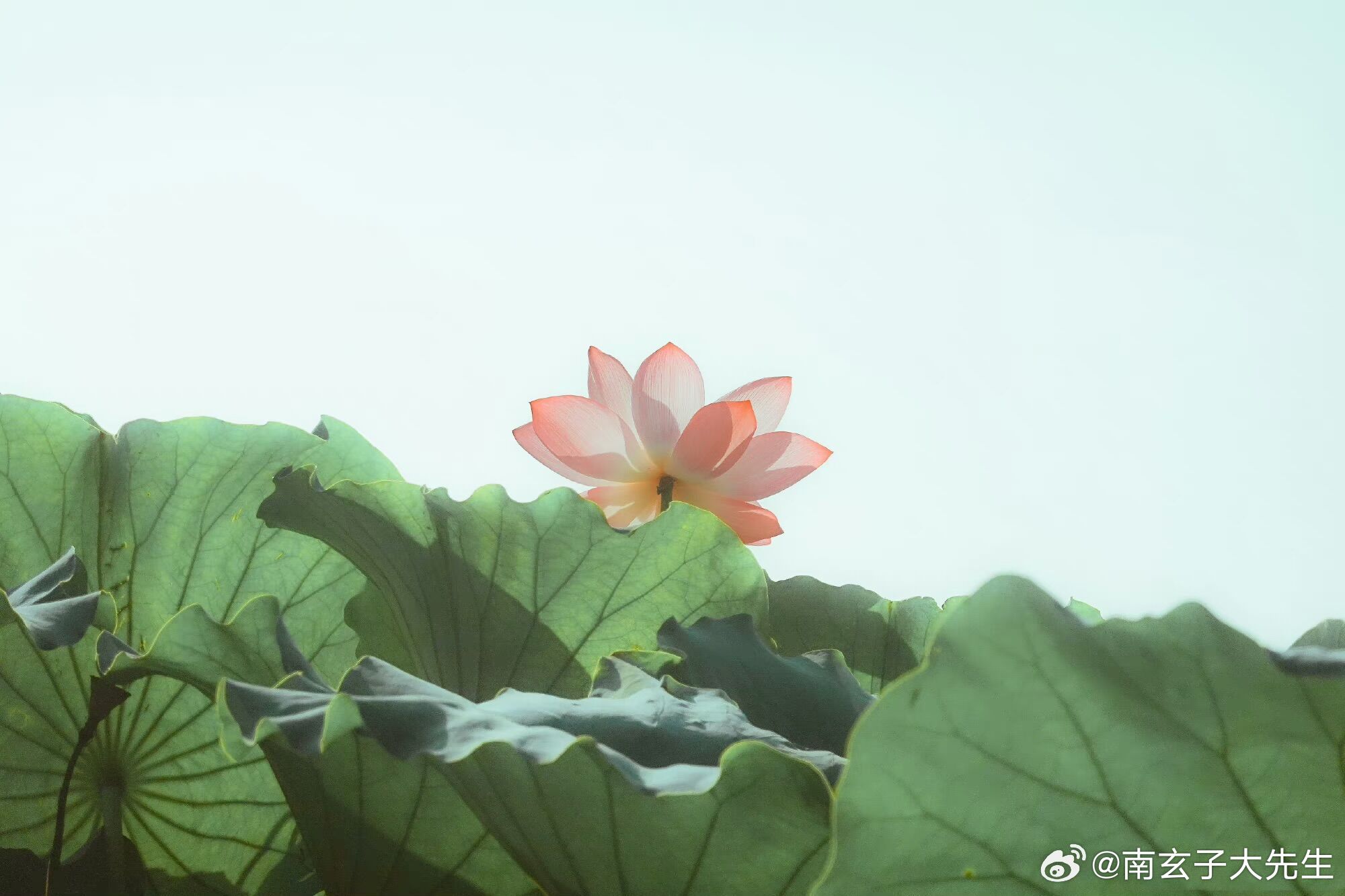 当然有的时候贵人帮多了也有负面的，比如一个女人总是被一个男人帮，即使没有什么想法