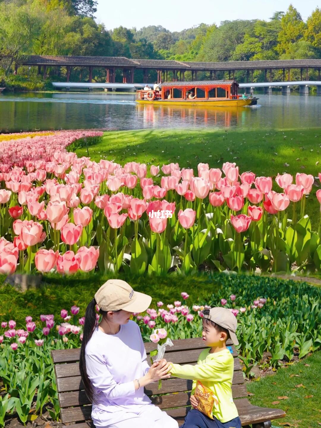 郁金香开啦！太子湾会惩罚不做攻略就来的人