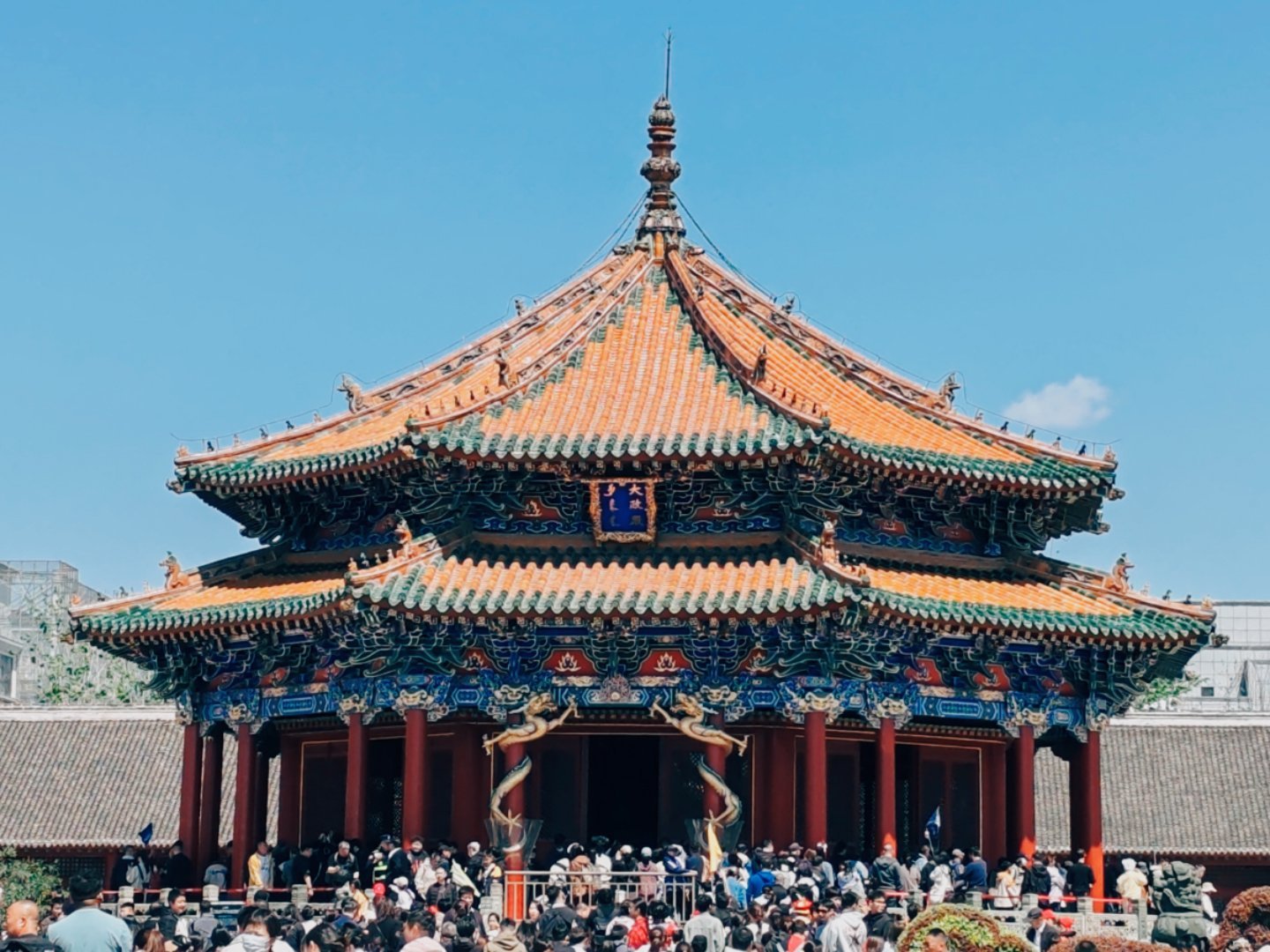 分享图片 ​​​