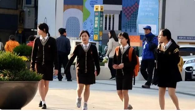 [下雨]低生育率下的韩国：三分之一人口选择宠物，而非孩子？

欢迎来到首尔，这座