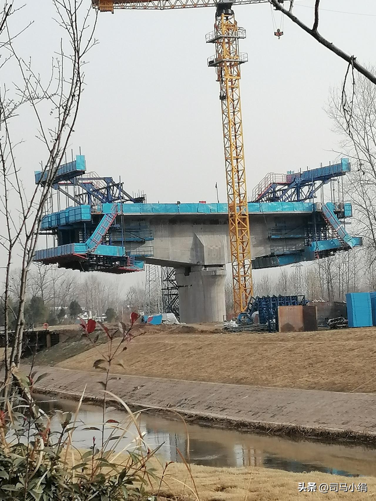 天南地北大拜年