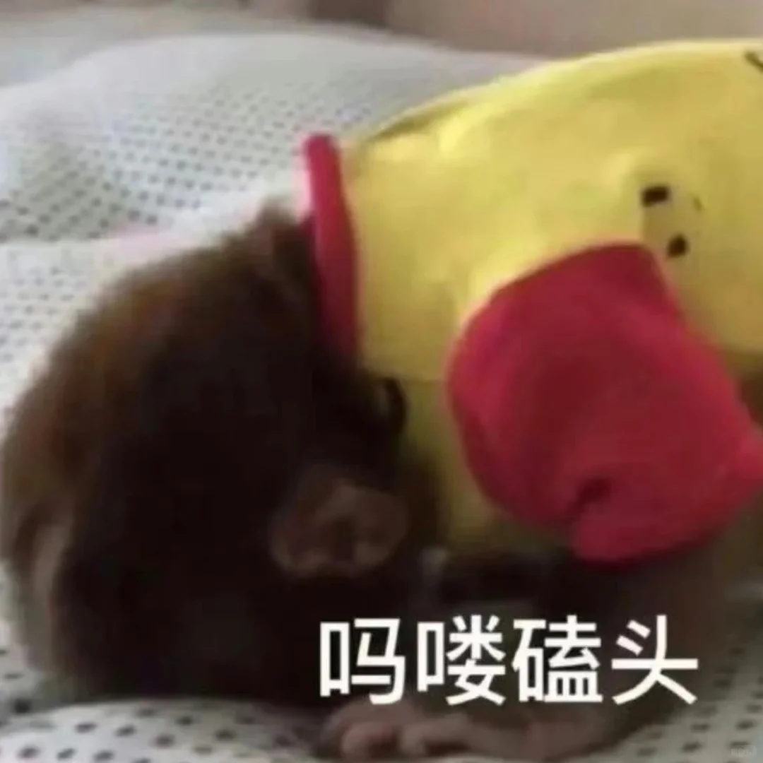 是最好的宝宝
