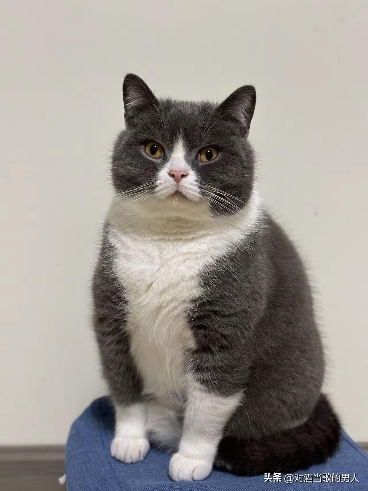 技术和运气，就像游戏里的技能和buff，缺一不可。技术这玩意儿，是实打实的硬通货