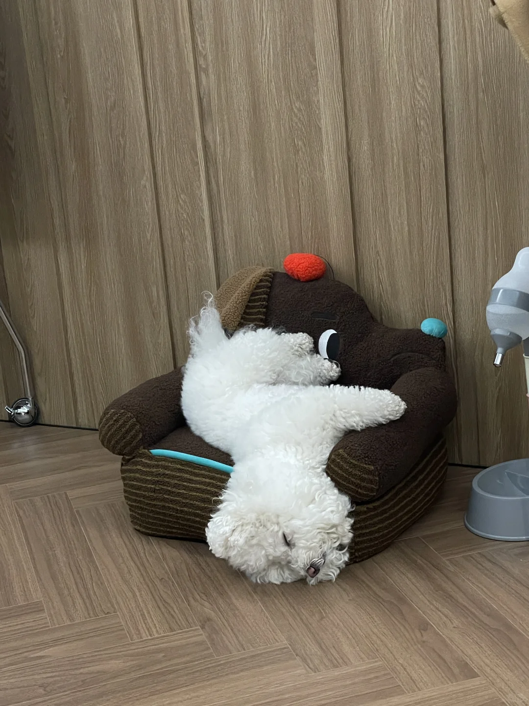 你的脖子还好吗？