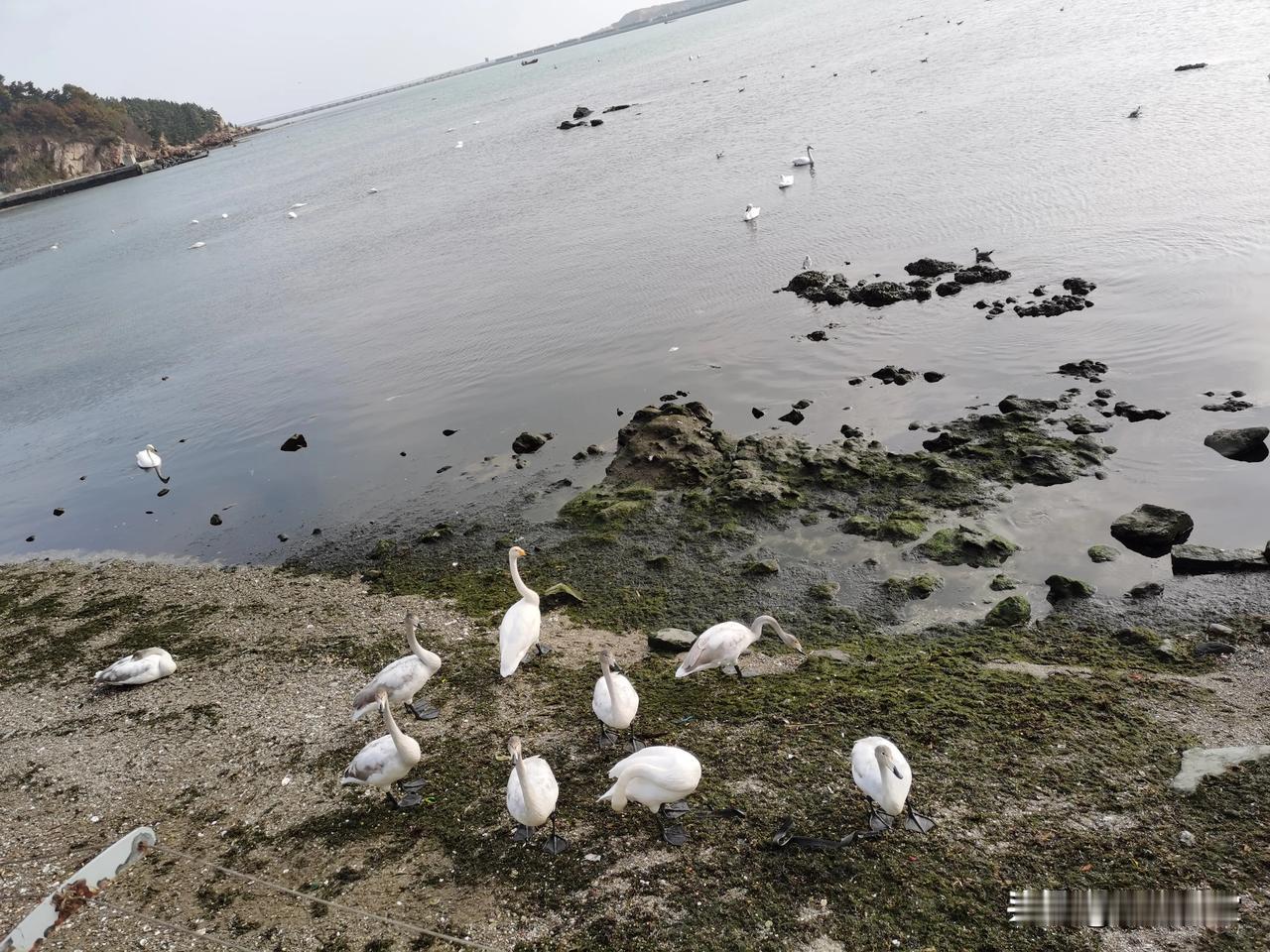 随手拍旅行