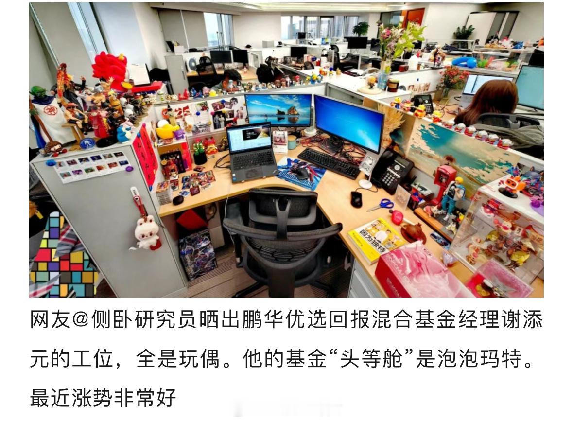 重仓labubu的基金经理工位？[doge] ​​​