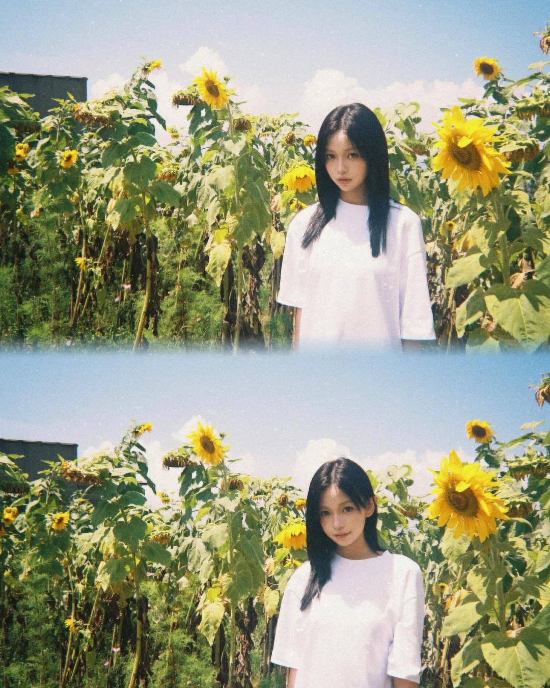 sunflower feelings🌻