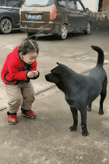 狗狗的快乐很简单，半块饼干，就让狗狗达到了快乐的巅峰。
狗狗不敢相信自己眼睛，小