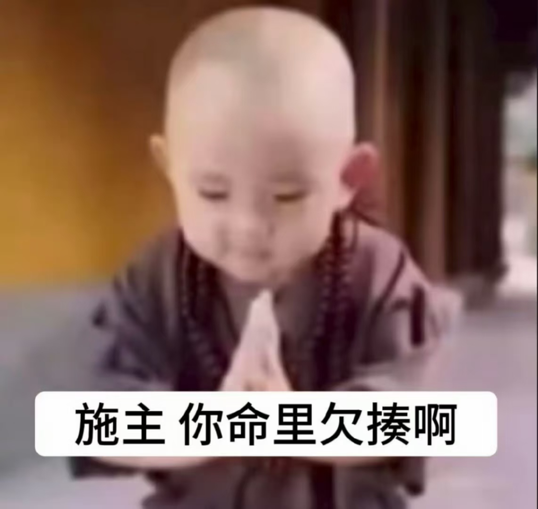 不许入赘我宝宝 