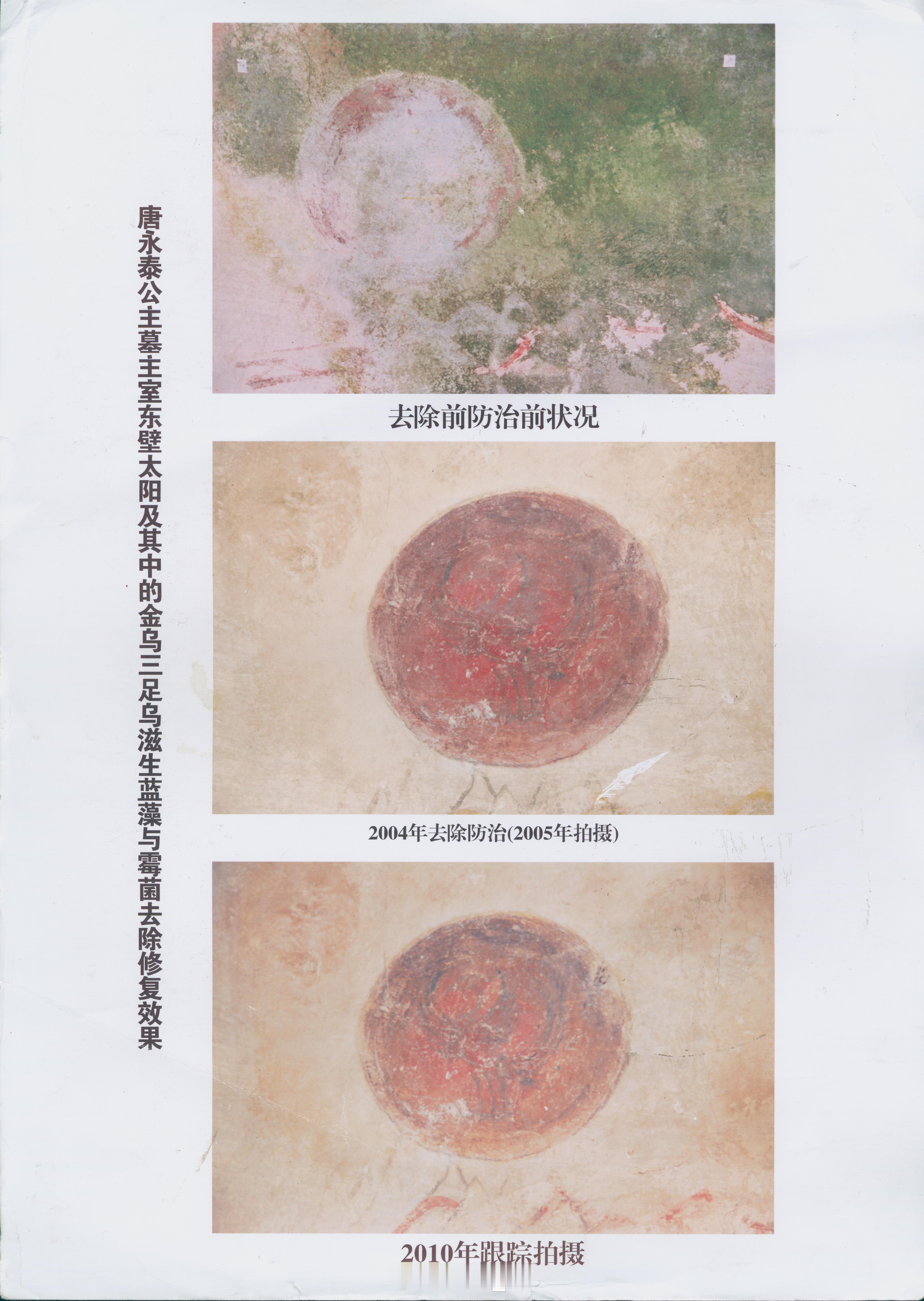 永泰公主墓主室东壁太阳及其中金乌修复效果与检测。看2010年，确实比2005年修