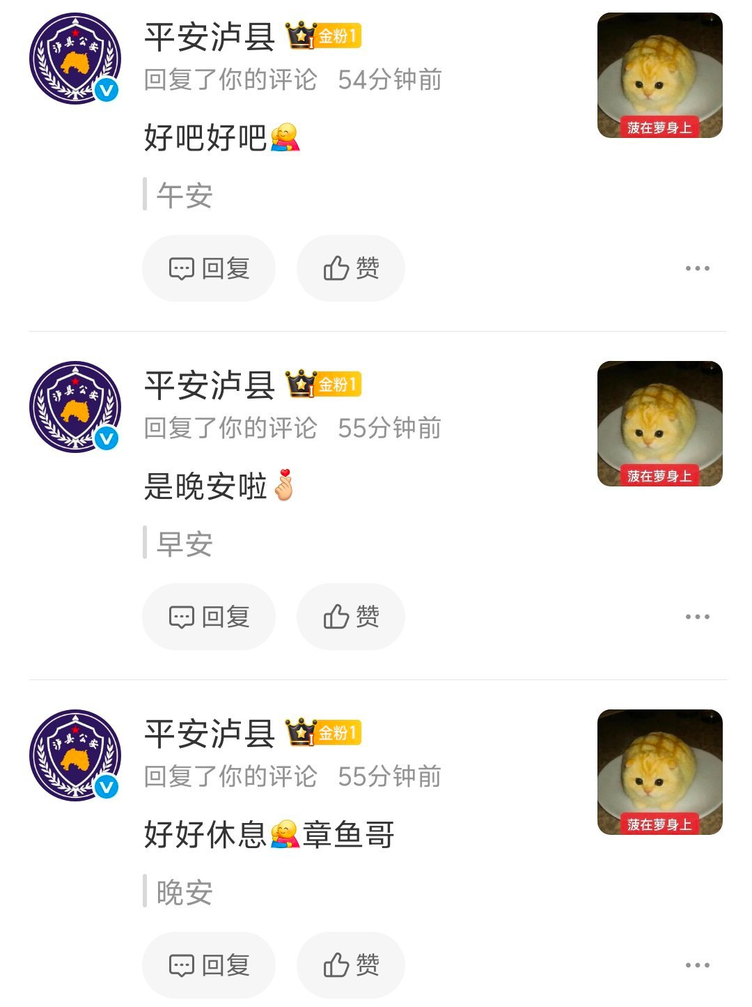 向全世界安利最好的蓝v 